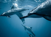 万博体育-BOB半岛体育平台开启极致观赛新纪元